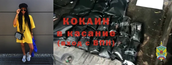 бошки Снежногорск