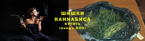 бошки Снежногорск