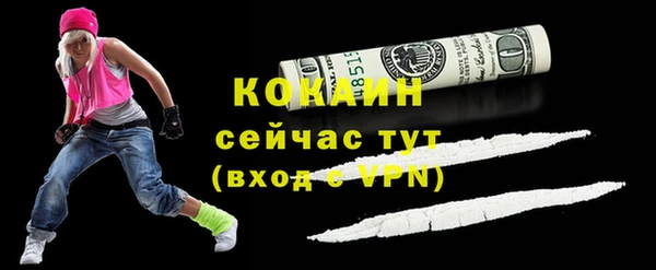 бошки Снежногорск