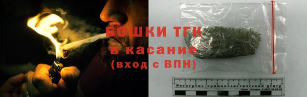 бошки Снежногорск