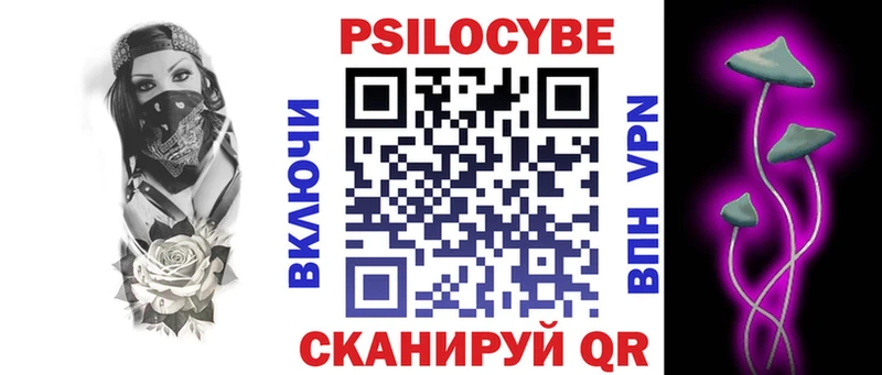 купить наркотики цена  Спасск  Псилоцибиновые грибы Psilocybe 